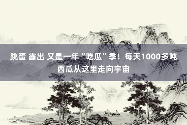 跳蛋 露出 又是一年“吃瓜”季！每天1000多吨西瓜从这里走向宇宙